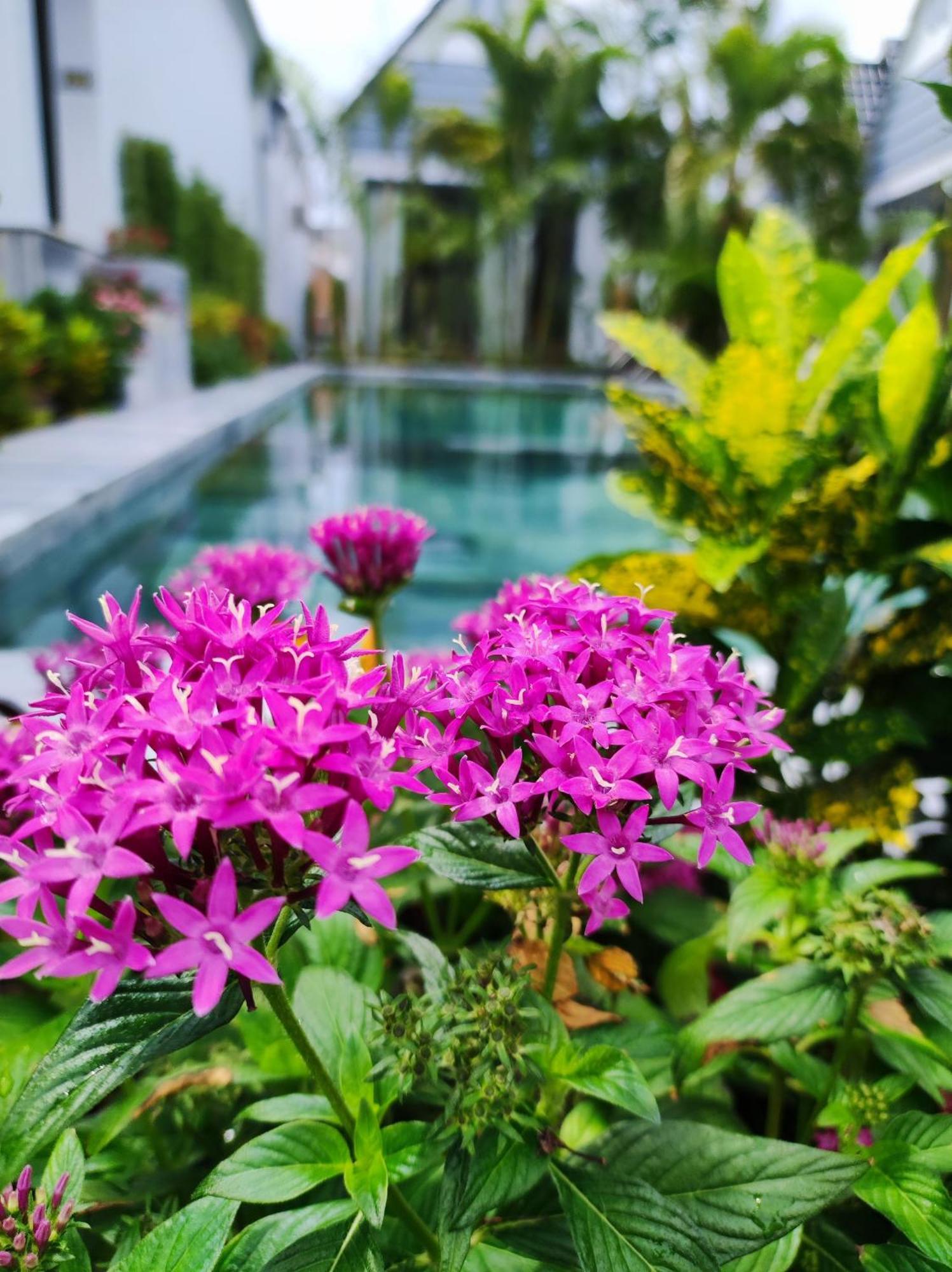 Ngoc Trai Xanh Bungalow Phu Quoc Extérieur photo